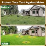 LEBMP Mole Repellent, Gopher Repellant, Vole Repellents Outdoor, Moles Deterrent for Lawn, Mole Control, Groundhog Repellent, Garden Vole Repellant, Keep Mole and Vole Out of Yard, Safe to Use-10P