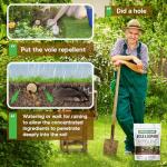 LEBMP Mole Repellent, Gopher Repellant, Vole Repellents Outdoor, Moles Deterrent for Lawn, Mole Control, Groundhog Repellent, Garden Vole Repellant, Keep Mole and Vole Out of Yard, Safe to Use-10P