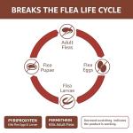 Amazon Basics Flea, Tick & Mosquito Topical Treatment for Large Dogs (21-55 pounds), 6 Count (Previously Solimo)