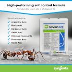 Advion Ant Gel Bait, 4 Tubes x 30-Grams, 1 Plunger and 2 Tips, Effective Bait Formulated with 0.05% Indoxacarb, Indoor and Outdoor Use, Killer Gel for Control of Most Major Ant Species