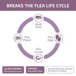 Amazon Basics Flea and Tick Topical Treatment for Large Dogs (45-88 lbs), Unscented, 6 Count (Previously Solimo)