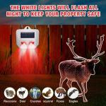 Qualirey 4 Pack Solar Control Light Nocturnal Animal Repeller Outdoor Deterrent Devices Light Sensor Animal Repellent for Skunk Deer Coyote Fox Raccoon Cat Garden Yard Farm Chicken Coop