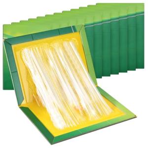 Jazb Mouse Traps Indoor for Home - 12 Pack Sticky Mouse Traps, Glue Traps for Mice Boards for Indoor, Outdoor, Kitchen and Garden