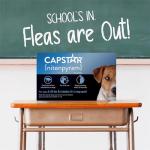 Capstar(nitenpyram) for Dogs Fast-Acting Oral Flea Treatment for Dogs 2-25 lbs, Vet-Recommended Medication Tablets Start Killing in 30 Minutes, 6 Doses