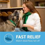 Capstar(nitenpyram) for Dogs Fast-Acting Oral Flea Treatment for Dogs 2-25 lbs, Vet-Recommended Medication Tablets Start Killing in 30 Minutes, 6 Doses