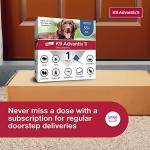 K9 Advantix II XL Dog Vet-Recommended Flea, Tick & Mosquito Treatment & Prevention | Dogs Over 55 lbs. | 1-Mo Supply
