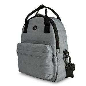 Skunk Raven Backpack - Platinum Gray Edition