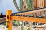 BUGGOFF - Bird & Rodent Spikes, Unique Spike Pattern effecitviely deteres Pesky Pigeons, Squirrels, Raccoons. Installs on Fences, Gates, Roofs, Walls and More! (15 Feet, Black Plastic)