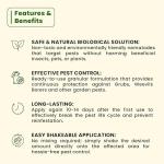 The Environmental Factor NemaKnights Slow-Release Nematodes - Biological Pest Control for Grubs, Weevils Borers & More (280g)