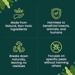 The Environmental Factor NemaKnights Slow-Release Nematodes - Biological Pest Control for Grubs, Weevils Borers & More (280g)