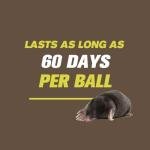 Mole Repellent for Lawns, Gopher Repellent, Groundhog Vole Repellant Outdoor, Keep Moles Out of Garden/Lawn, Pet Safe Mole Repellant, Lasting Protection, Easy to Use-10P