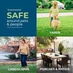 Wondercide - Outdoor Pest Control Spray Concentrate with Natural Essential Oils - Mosquito, Ant, Roach, and Insect Killer, Treatment, and Repellent - Safe Around Pets, Plants, Kids - 1 Gallon