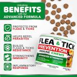 Flea and Tick Prevention for Dogs Chewables - 170 Treats - Natural Dog Flea and Tick Treatment Chewable Supplement - Oral Pills - All Breeds & Ages - Soft Chews - Made in USA - Chicken Flavor