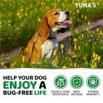 Flea and Tick Prevention for Dogs Chewables - 170 Treats - Natural Dog Flea and Tick Treatment Chewable Supplement - Oral Pills - All Breeds & Ages - Soft Chews - Made in USA - Chicken Flavor