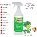Green Bean Buddy Bed Bug Killer That Works, Roach Killer, Flea and Tick Killer, Beetle, Mite Spray with Residual Protection, Child & Pet Friendly, 32oz