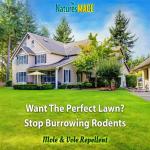 Nature's MACE Mole and Vole Mace, Mole Deterrent for Yard, 1 Gallon, 100% Pure Castor Oil, Lawns, Mole Repellent, Stop Tunneling, Mole Remover Treatment, Castor Oil Repellent, People, Pet, Plant Safe