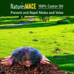 Nature's MACE Mole and Vole Mace, Mole Deterrent for Yard, 1 Gallon, 100% Pure Castor Oil, Lawns, Mole Repellent, Stop Tunneling, Mole Remover Treatment, Castor Oil Repellent, People, Pet, Plant Safe