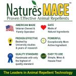 Nature's MACE Mole and Vole Mace, Mole Deterrent for Yard, 1 Gallon, 100% Pure Castor Oil, Lawns, Mole Repellent, Stop Tunneling, Mole Remover Treatment, Castor Oil Repellent, People, Pet, Plant Safe