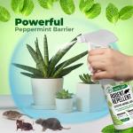 Mighty Mint Peppermint Oil Rodent Repellent Spray – Natural Indoor & Outdoor Control for Mice and Rats – Plant-Based, Extra-Strong Formula - 16 oz