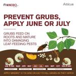 Atticus Mineiro 2F Flex 21.4% Imidacloprid Insecticide Concentrate (32 oz) – Grub and Insect Control in Lawns and Landscapes