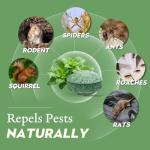 12Pcs Rodent Mice Repellent, Peppermint Oil to Repel Mice and Rats, Rodent Mouse Repellent for Garage, Natural Ingredients Rat Repellent Balls Deterrent Indoor, Family & Pet Safe