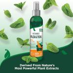 Vet's Best Natural Flea and Tick Spray for Dogs