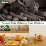 28-Pack Natural Mouse Repellent for Indoor and Outdoor