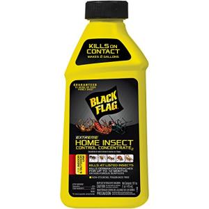 Black Flag Extreme Insect Control Concentrate, 16 oz