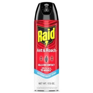 Raid Ant & Roach Killer Spray, Fresh Scent 17.5 oz