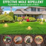 12 Pack Natural Mole Repellent for Yard