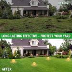 12 Pack Natural Mole Repellent for Yard