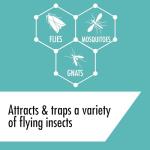 STEM Kills Flies, Mosquitoes And Gnats: Plant-Based Active Ingredient Bug Spray, Botanical Insecticide For Indoor And Outdoor Use; 10 fl oz (Pack Of 1)