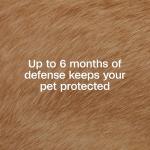 ADAMS Flea & Tick Collar for Dogs & Puppies, 2 Pack, 12 Month Protection, Adjustable One Size, Kills Fleas, Ticks & Repels Mosquitoes, Excluding California