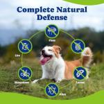Flea & Tick Prevention for Dogs Chewables, YoYoBay Natural Dog Fleas and Ticks Control Supplement, Dogs Supplement, Natural Shield 5-in-1 Protection, Beef & Carrot Flavor, 180 Soft Chews *2 Pack