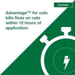 Advantage Topical Cat Flea Treatment and Prevention for Small Cats 2-9 lbs. | Apply Flea Drops Monthly | 2 Treatments
