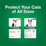 Advantage Topical Cat Flea Treatment and Prevention for Small Cats 2-9 lbs. | Apply Flea Drops Monthly | 2 Treatments