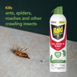 Raid Essentials Ant, Spider & Roach Killer Aerosol Spray, Child & Pet Safe, Kills Insects Quickly, for Indoor Use, Rosemary Mint Scent, 10 fl oz