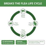 Amazon Basics Flea and Tick Topical Treatment for Cats (Over 1.5 Pounds), 3 Count (Previously Solimo)