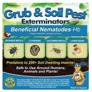 25 Million Live Beneficial Nematodes Hb - Soil Pest Exterminator