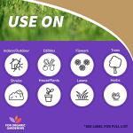 Bonide Captain Jack's Neem Max, 8 oz Concentrated Cold Pressed Neem Oil, Multi-Purpose Insecticide, Fungicide, Miticide and Nematicide for Organic Gardening