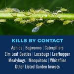 BioAdvanced Tree and Shrub Insect Killer, Ready-to-Use, 32Oz
