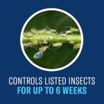 BioAdvanced Tree and Shrub Insect Killer, Ready-to-Use, 32Oz