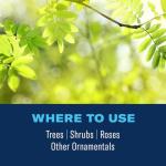 BioAdvanced Tree and Shrub Insect Killer, Ready-to-Use, 32Oz