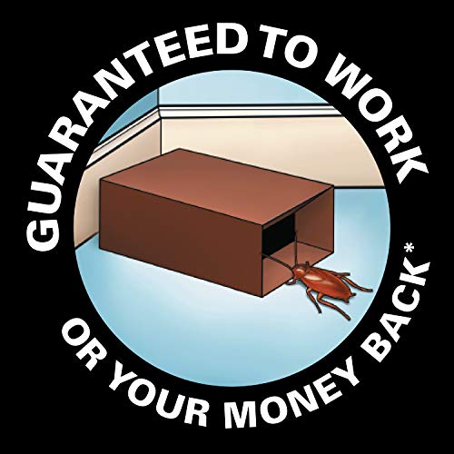 Black Flag Roach Motel Traps, 2ct, 1pk