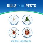 Cutter Essentials Bug Control Spray Concentrate, Kills Mosquitoes by Contact For Insects