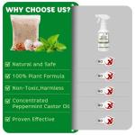 Pest Repellent Pouches, 10 Pack Peppermint Oil Repellent for Mouse, Roach, Rodent, Spider, Ant, Mice, Rats, Pest Control Indoor & Outdoor, Natural Mouse Deterrent Replace Traps Family & Pet Safe