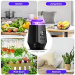 Indoor Fruit Fly Traps with 10 Refills