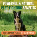TropiClean Natural Flea and Tick Spray for Dogs
