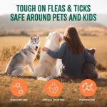 TropiClean Natural Flea and Tick Spray for Dogs