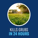 BioAdvanced 24-Hour Grub Killer Granules, 20 lb